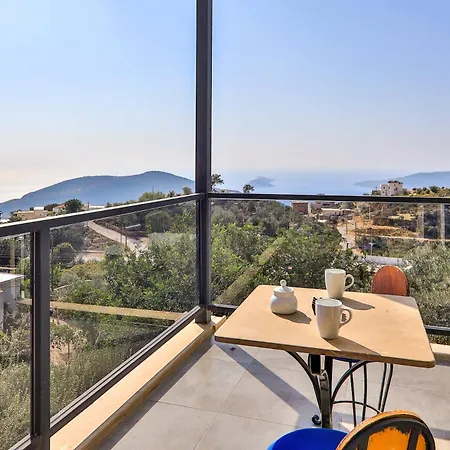 North Star 卡斯